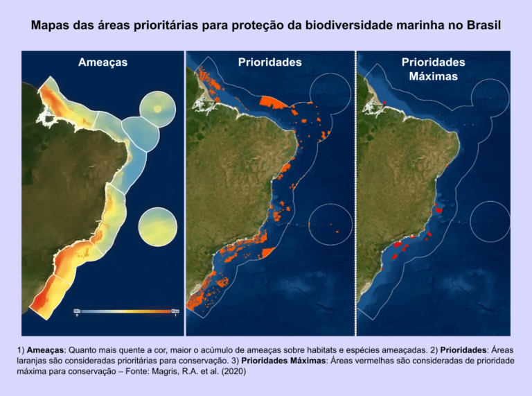 Novo Estudo Sobre Amea As Biodiversidade Marinha Mapeia Reas