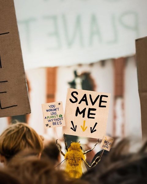 Abelha influencer protestando