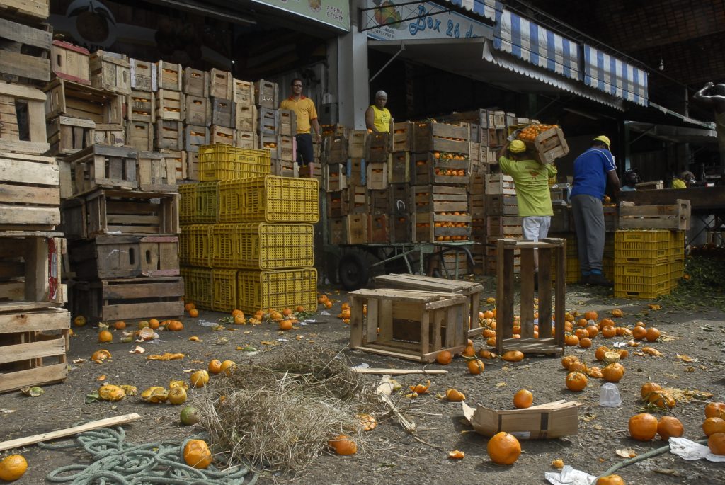  Desperdício de alimentos preocupa a FAO e o governo brasileiro