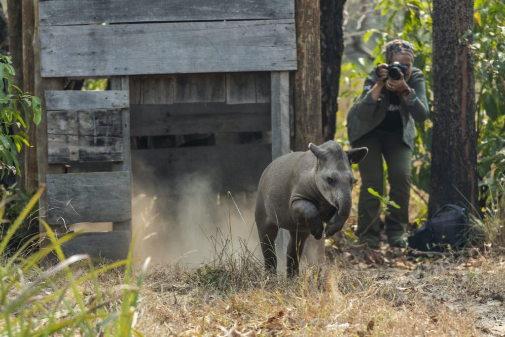 Vencedora do prêmio de conservação do meio ambiente