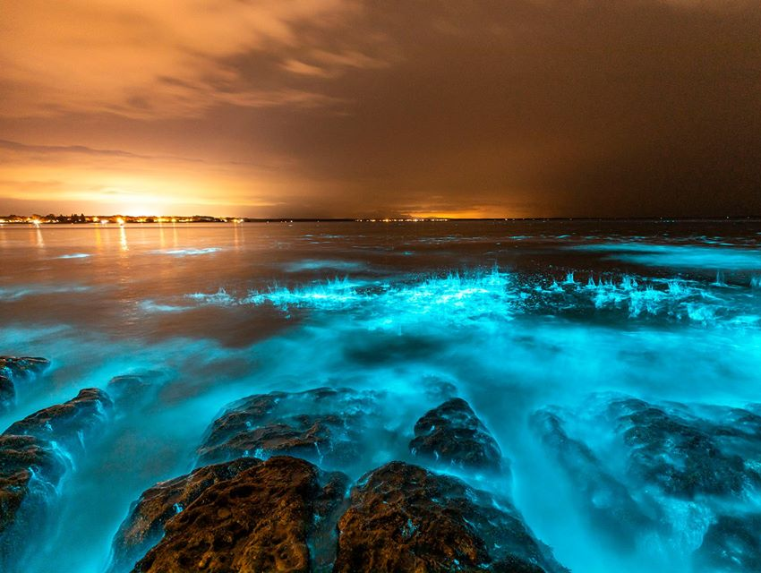  Baía de Jervins brilhando pelo feito das algas bioluminescentes