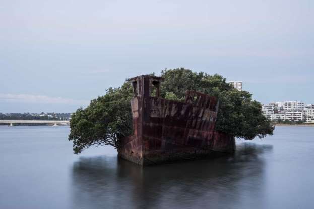 Navio abandonado coberto de vegetação. Foto: Star Inside.