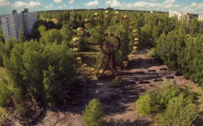 Vegetação cresce em Chernobyl