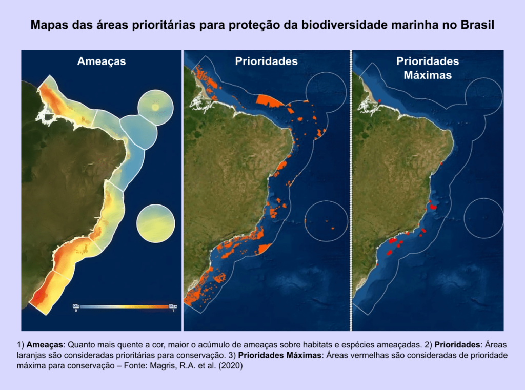 mapeamento de ameaças à biodiversidade marinha no Brasil