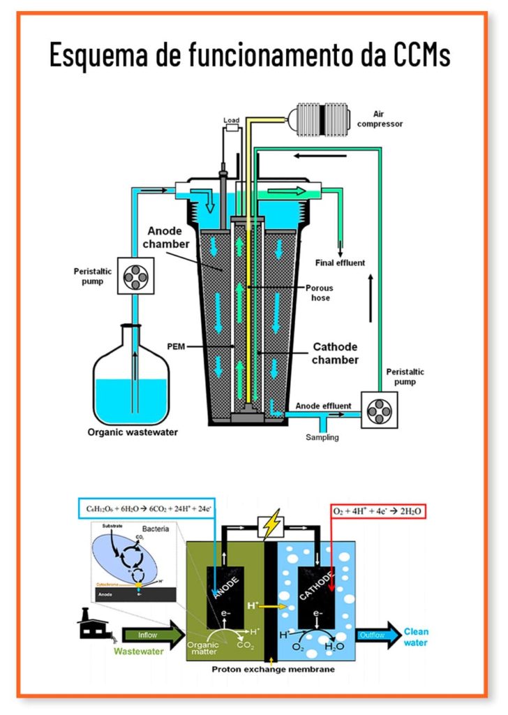 Esquema de funcionamento da biobateria CCMs 