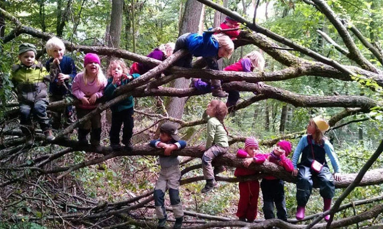Escolas florestais promovem o aprendizado no ambiente natural.