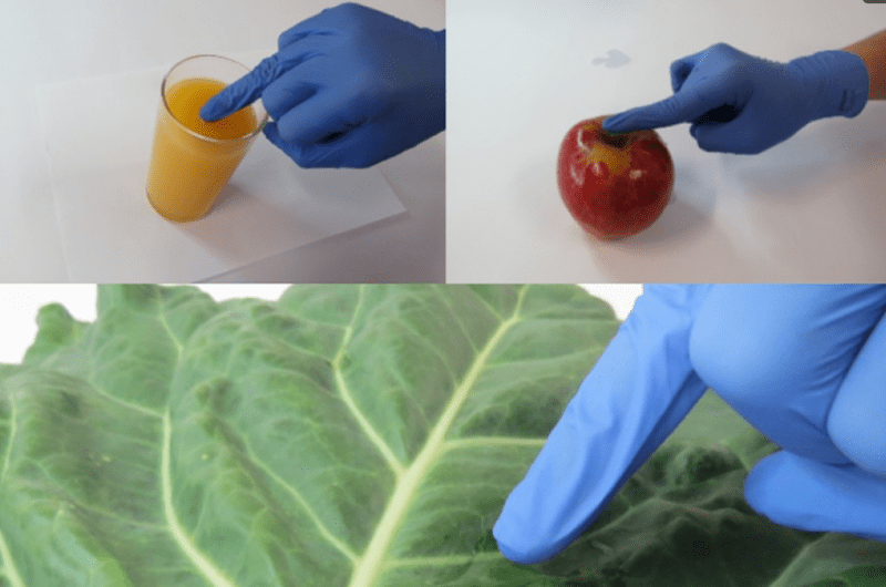 Luva detecta pesticidas em alimentos com o toque
