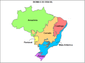 Biomas brasileiros