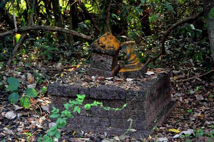Bosque sagrado indiano, Kerala . Práticas religiosas conservaram bosques