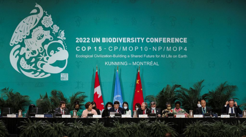 COP-15