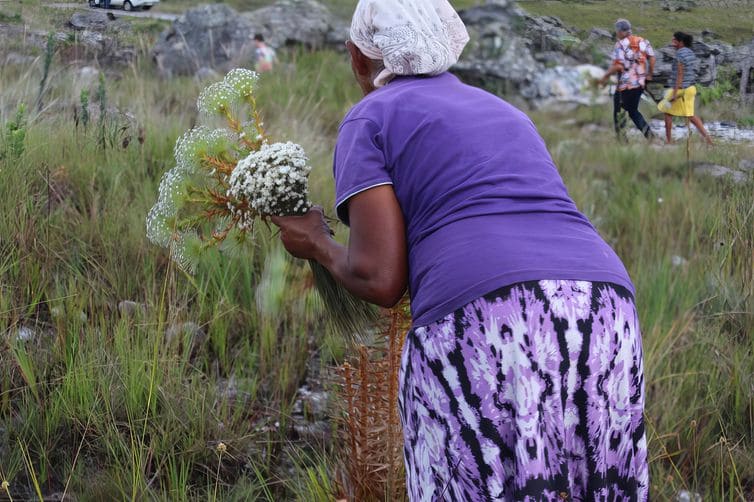 agricultura tradicional como patrimônio