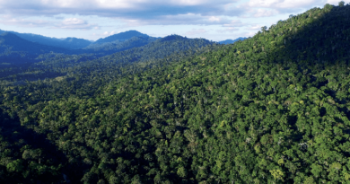 Brasil tem mais de 1,5 mil unidades de conservação no bioma mata atlântica