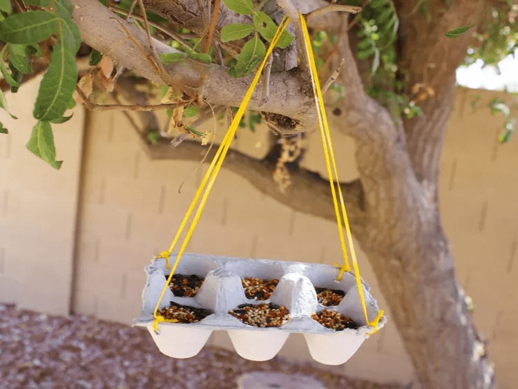 alimentador de pássaros. forma de reutilizar caixa de ovos