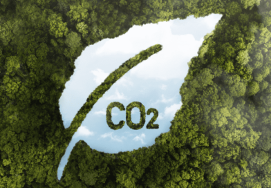 Descarbonização: o que é e como é feita